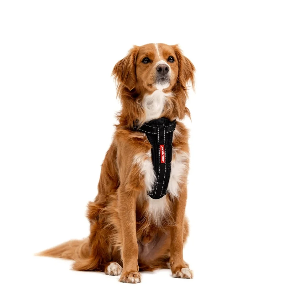 EZYDOG No Pull Chest Plate Dog Harness Escape Proff It Works!
